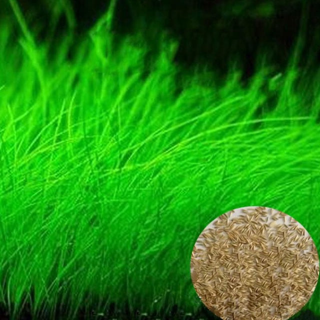 NEW Green Grass Plant Aquarium Fish Tank Plants Prospects Grass Landscaping Decoration Wholesale