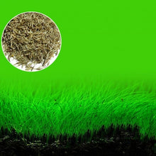 Load image into Gallery viewer, NEW Green Grass Plant Aquarium Fish Tank Plants Prospects Grass Landscaping Decoration Wholesale
